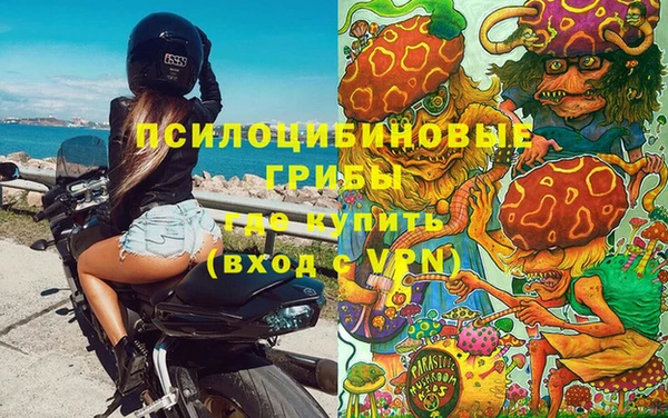 бошки Балахна