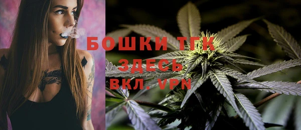 прущие крисы Аркадак