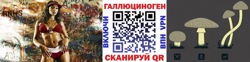 Псилоцибиновые грибы GOLDEN TEACHER  shop наркотические препараты  Сясьстрой 